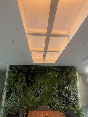 شراء Rectangle Faux Skylight Panels 220mm Highness Customizable Solutions التصنيع عبر الإنترنت