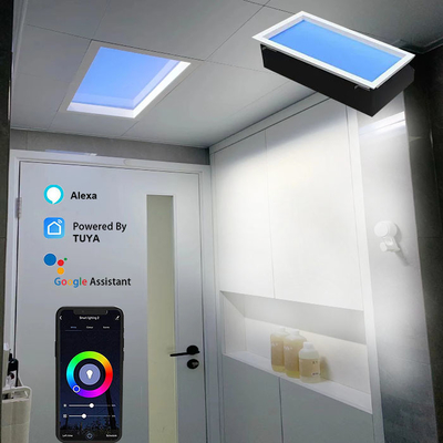 الإيقاع اليومي لوح الضوء الشمسي الاصطناعي تحكم دالي لوحة الضوء المضيء LED 600x1200