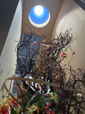 لوحة ضوء السقف ذكي LED