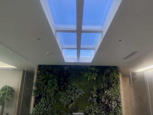ضوء أبيض اللون مُدمج سماء اصطناعية LED 12 كجم طريقة تركيب مُدمجة للاستخدام التجاري