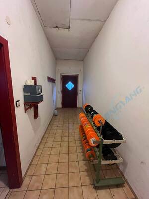 الاسم