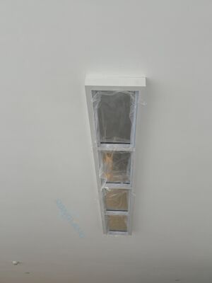 الاسم